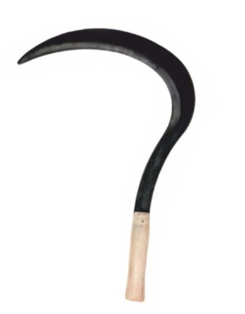 ERGÜVEN ORAK AHŞAP SAPLI BÜYÜK OR100-03